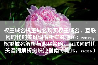 权重域名权重域名购买权重域名，互联网时代的关键词解析蜘蛛池TG：zzcseo，权重域名解析与购买策略，互联网时代关键词解析蜘蛛池指南（附TG，zzcseo）