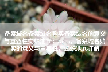 备案域名备案域名购买备案域名的意义与重要性蜘蛛池TG：zzcseo，备案域名购买的意义与重要性，蜘蛛池TG详解