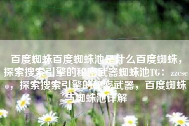 百度蜘蛛百度蜘蛛池是什么百度蜘蛛，探索搜索引擎的秘密武器蜘蛛池TG：zzcseo，探索搜索引擎的秘密武器，百度蜘蛛与蜘蛛池详解