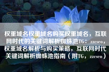 权重域名权重域名购买权重域名，互联网时代的关键词解析蜘蛛池TG：zzcseo，权重域名解析与购买策略，互联网时代关键词解析蜘蛛池指南（附TG，zzcseo）