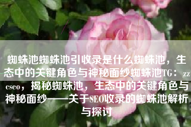 蜘蛛池蜘蛛池引收录是什么蜘蛛池，生态中的关键角色与神秘面纱蜘蛛池TG：zzcseo，揭秘蜘蛛池，生态中的关键角色与神秘面纱——关于SEO收录的蜘蛛池解析与探讨