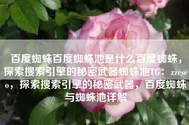 百度蜘蛛百度蜘蛛池是什么百度蜘蛛，探索搜索引擎的秘密武器蜘蛛池TG：zzcseo，探索搜索引擎的秘密武器，百度蜘蛛与蜘蛛池详解