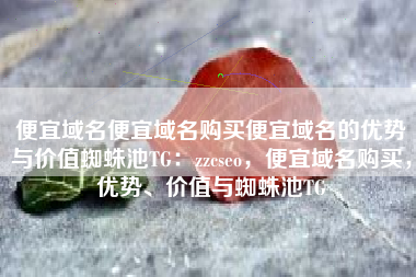 便宜域名便宜域名购买便宜域名的优势与价值蜘蛛池TG：zzcseo，便宜域名购买，优势、价值与蜘蛛池TG
