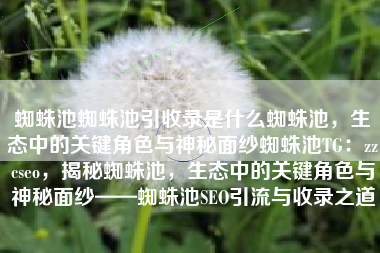 蜘蛛池蜘蛛池引收录是什么蜘蛛池，生态中的关键角色与神秘面纱蜘蛛池TG：zzcseo，揭秘蜘蛛池，生态中的关键角色与神秘面纱——蜘蛛池SEO引流与收录之道