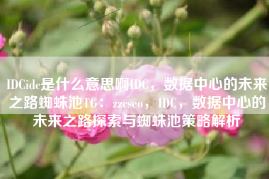 IDCidc是什么意思啊IDC，数据中心的未来之路蜘蛛池TG：zzcseo，IDC，数据中心的未来之路探索与蜘蛛池策略解析