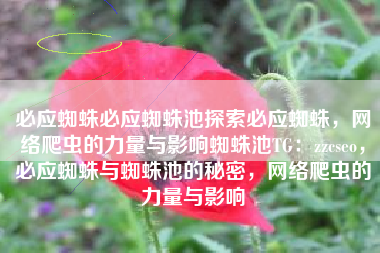 必应蜘蛛必应蜘蛛池探索必应蜘蛛，网络爬虫的力量与影响蜘蛛池TG：zzcseo，必应蜘蛛与蜘蛛池的秘密，网络爬虫的力量与影响