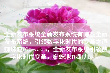 全新发布系统全新发布系统有哪些全新发布系统，引领数字化时代的变革之道蜘蛛池TG：zzcseo，全新发布系统引领数字化时代变革，蜘蛛池TG助力zzcseo