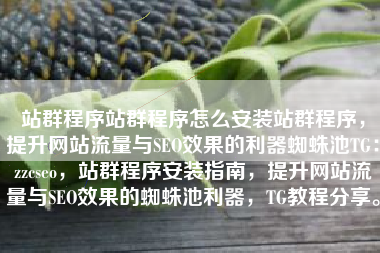 站群程序站群程序怎么安装站群程序，提升网站流量与SEO效果的利器蜘蛛池TG：zzcseo，站群程序安装指南，提升网站流量与SEO效果的蜘蛛池利器，TG教程分享。