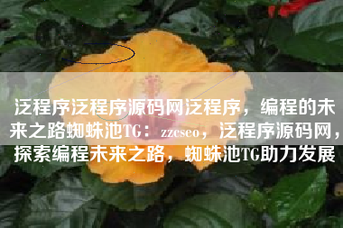 泛程序泛程序源码网泛程序，编程的未来之路蜘蛛池TG：zzcseo，泛程序源码网，探索编程未来之路，蜘蛛池TG助力发展