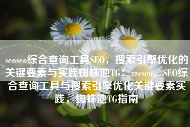 seoseo综合查询工具SEO，搜索引擎优化的关键要素与实践蜘蛛池TG：zzcseo，SEO综合查询工具与搜索引擎优化关键要素实践，蜘蛛池TG指南