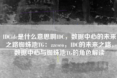 IDCidc是什么意思啊IDC，数据中心的未来之路蜘蛛池TG：zzcseo，IDC的未来之路，数据中心与蜘蛛池TG的角色解读