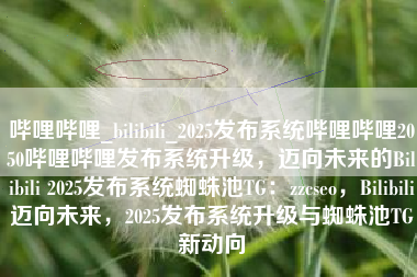 哔哩哔哩_bilibili_2025发布系统哔哩哔哩2050哔哩哔哩发布系统升级，迈向未来的Bilibili 2025发布系统蜘蛛池TG：zzcseo，Bilibili迈向未来，2025发布系统升级与蜘蛛池TG新动向