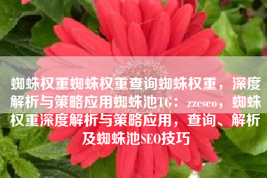 蜘蛛权重蜘蛛权重查询蜘蛛权重，深度解析与策略应用蜘蛛池TG：zzcseo，蜘蛛权重深度解析与策略应用，查询、解析及蜘蛛池SEO技巧
