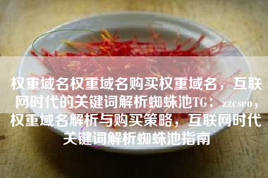 权重域名权重域名购买权重域名，互联网时代的关键词解析蜘蛛池TG：zzcseo，权重域名解析与购买策略，互联网时代关键词解析蜘蛛池指南