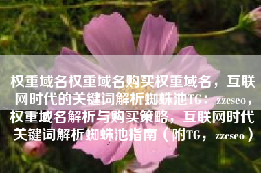 权重域名权重域名购买权重域名，互联网时代的关键词解析蜘蛛池TG：zzcseo，权重域名解析与购买策略，互联网时代关键词解析蜘蛛池指南（附TG，zzcseo）