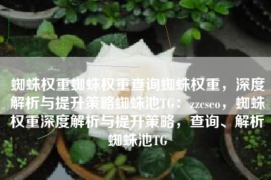 蜘蛛权重蜘蛛权重查询蜘蛛权重，深度解析与提升策略蜘蛛池TG：zzcseo，蜘蛛权重深度解析与提升策略，查询、解析蜘蛛池TG