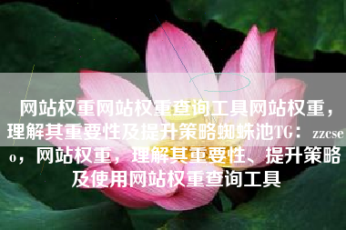 网站权重网站权重查询工具网站权重，理解其重要性及提升策略蜘蛛池TG：zzcseo，网站权重，理解其重要性、提升策略及使用网站权重查询工具