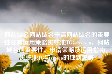 网站域名网站域名申请网站域名的重要性及其运用策略蜘蛛池TG：zzcseo，网站域名的重要性、申请策略及运用指南，蜘蛛池TG与zzcseo的独到见解