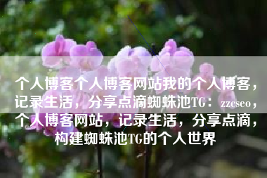 个人博客个人博客网站我的个人博客，记录生活，分享点滴蜘蛛池TG：zzcseo，个人博客网站，记录生活，分享点滴，构建蜘蛛池TG的个人世界