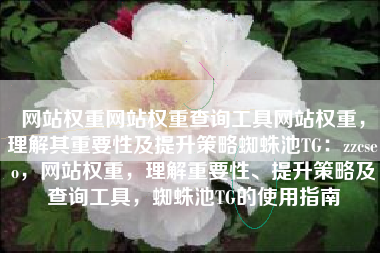 网站权重网站权重查询工具网站权重，理解其重要性及提升策略蜘蛛池TG：zzcseo，网站权重，理解重要性、提升策略及查询工具，蜘蛛池TG的使用指南
