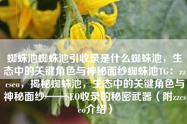 蜘蛛池蜘蛛池引收录是什么蜘蛛池，生态中的关键角色与神秘面纱蜘蛛池TG：zzcseo，揭秘蜘蛛池，生态中的关键角色与神秘面纱——SEO收录的秘密武器（附zzcseo介绍）