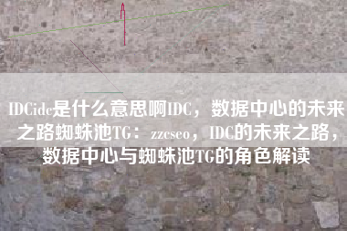 IDCidc是什么意思啊IDC，数据中心的未来之路蜘蛛池TG：zzcseo，IDC的未来之路，数据中心与蜘蛛池TG的角色解读