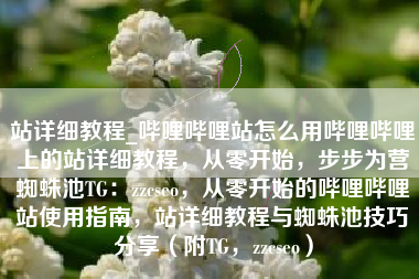 站详细教程_哔哩哔哩站怎么用哔哩哔哩上的站详细教程，从零开始，步步为营蜘蛛池TG：zzcseo，从零开始的哔哩哔哩站使用指南，站详细教程与蜘蛛池技巧分享（附TG，zzcseo）