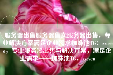 服务器出售服务器售卖服务器出售，专业解决方案满足企业需求蜘蛛池TG：zzcseo，专业服务器出售与解决方案，满足企业需求——蜘蛛池TG，zzcseo