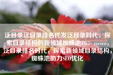 泛目录泛目录排名代发泛目录时代，探索目录结构的新领域蜘蛛池TG：zzcseo，泛目录排名时代，探索新领域目录结构，蜘蛛池助力SEO优化