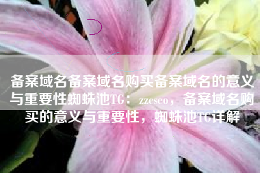 备案域名备案域名购买备案域名的意义与重要性蜘蛛池TG：zzcseo，备案域名购买的意义与重要性，蜘蛛池TG详解