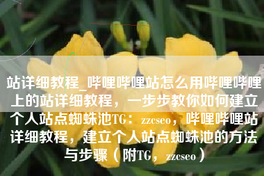 站详细教程_哔哩哔哩站怎么用哔哩哔哩上的站详细教程，一步步教你如何建立个人站点蜘蛛池TG：zzcseo，哔哩哔哩站详细教程，建立个人站点蜘蛛池的方法与步骤（附TG，zzcseo）