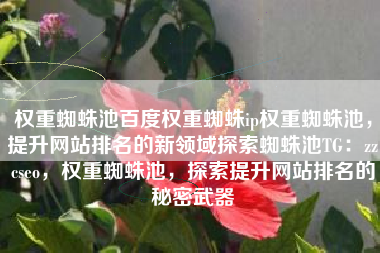 权重蜘蛛池百度权重蜘蛛ip权重蜘蛛池，提升网站排名的新领域探索蜘蛛池TG：zzcseo，权重蜘蛛池，探索提升网站排名的秘密武器