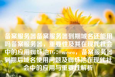 备案服务器备案服务器到期域名还能用吗备案服务器，重要性及其在现代社会中的应用蜘蛛池TG：zzcseo，备案服务器到期后域名使用问题及蜘蛛池在现代社会中的应用与重要性解析