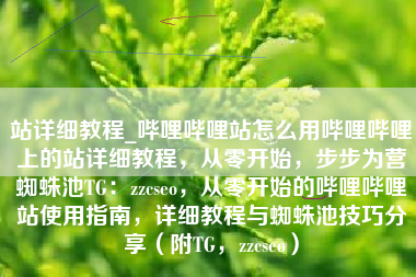 站详细教程_哔哩哔哩站怎么用哔哩哔哩上的站详细教程，从零开始，步步为营蜘蛛池TG：zzcseo，从零开始的哔哩哔哩站使用指南，详细教程与蜘蛛池技巧分享（附TG，zzcseo）