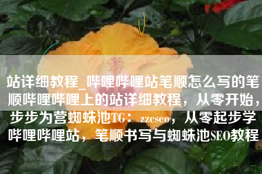 站详细教程_哔哩哔哩站笔顺怎么写的笔顺哔哩哔哩上的站详细教程，从零开始，步步为营蜘蛛池TG：zzcseo，从零起步学哔哩哔哩站，笔顺书写与蜘蛛池SEO教程