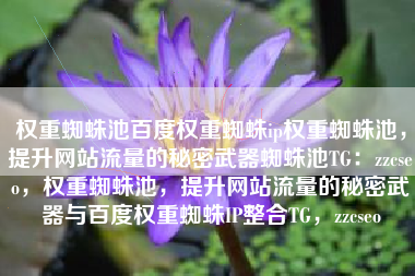 权重蜘蛛池百度权重蜘蛛ip权重蜘蛛池，提升网站流量的秘密武器蜘蛛池TG：zzcseo，权重蜘蛛池，提升网站流量的秘密武器与百度权重蜘蛛IP整合TG，zzcseo