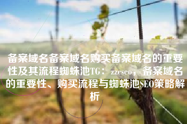 备案域名备案域名购买备案域名的重要性及其流程蜘蛛池TG：zzcseo，备案域名的重要性、购买流程与蜘蛛池SEO策略解析