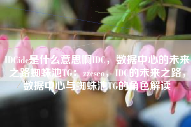 IDCidc是什么意思啊IDC，数据中心的未来之路蜘蛛池TG：zzcseo，IDC的未来之路，数据中心与蜘蛛池TG的角色解读