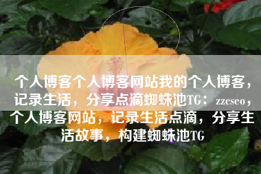个人博客个人博客网站我的个人博客，记录生活，分享点滴蜘蛛池TG：zzcseo，个人博客网站，记录生活点滴，分享生活故事，构建蜘蛛池TG