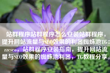 站群程序站群程序怎么安装站群程序，提升网站流量与SEO效果的利器蜘蛛池TG：zzcseo，站群程序安装指南，提升网站流量与SEO效果的蜘蛛池利器，TG教程分享。
