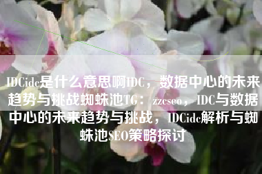 IDCidc是什么意思啊IDC，数据中心的未来趋势与挑战蜘蛛池TG：zzcseo，IDC与数据中心的未来趋势与挑战，IDCidc解析与蜘蛛池SEO策略探讨