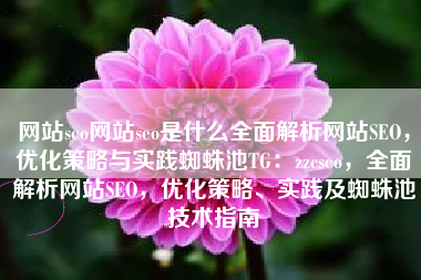 网站seo网站seo是什么全面解析网站SEO，优化策略与实践蜘蛛池TG：zzcseo，全面解析网站SEO，优化策略、实践及蜘蛛池技术指南