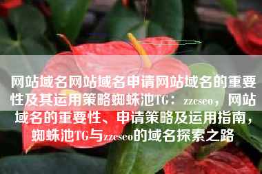 网站域名网站域名申请网站域名的重要性及其运用策略蜘蛛池TG：zzcseo，网站域名的重要性、申请策略及运用指南，蜘蛛池TG与zzcseo的域名探索之路
