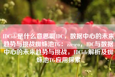 IDCidc是什么意思啊IDC，数据中心的未来趋势与挑战蜘蛛池TG：zzcseo，IDC与数据中心的未来趋势与挑战，IDCidc解析及蜘蛛池TG应用探索