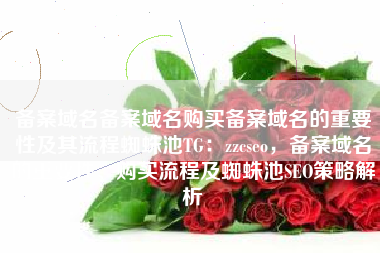 备案域名备案域名购买备案域名的重要性及其流程蜘蛛池TG：zzcseo，备案域名的重要性、购买流程及蜘蛛池SEO策略解析