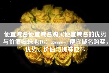 便宜域名便宜域名购买便宜域名的优势与价值蜘蛛池TG：zzcseo，便宜域名购买，优势、价值与蜘蛛池TG