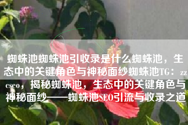 蜘蛛池蜘蛛池引收录是什么蜘蛛池，生态中的关键角色与神秘面纱蜘蛛池TG：zzcseo，揭秘蜘蛛池，生态中的关键角色与神秘面纱——蜘蛛池SEO引流与收录之道