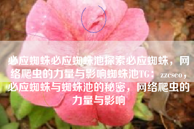 必应蜘蛛必应蜘蛛池探索必应蜘蛛，网络爬虫的力量与影响蜘蛛池TG：zzcseo，必应蜘蛛与蜘蛛池的秘密，网络爬虫的力量与影响