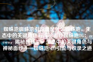 蜘蛛池蜘蛛池引收录是什么蜘蛛池，生态中的关键角色与神秘面纱蜘蛛池TG：zzcseo，揭秘蜘蛛池，生态中的关键角色与神秘面纱——蜘蛛池SEO引流与收录之道