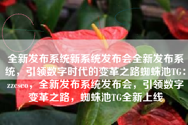 全新发布系统新系统发布会全新发布系统，引领数字时代的变革之路蜘蛛池TG：zzcseo，全新发布系统发布会，引领数字变革之路，蜘蛛池TG全新上线